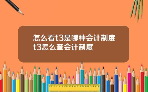 怎么看t3是哪种会计制度t3怎么查会计制度