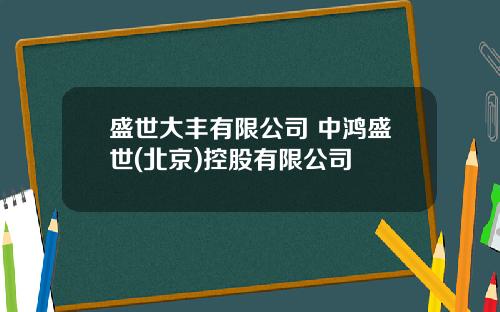 盛世大丰有限公司 中鸿盛世(北京)控股有限公司