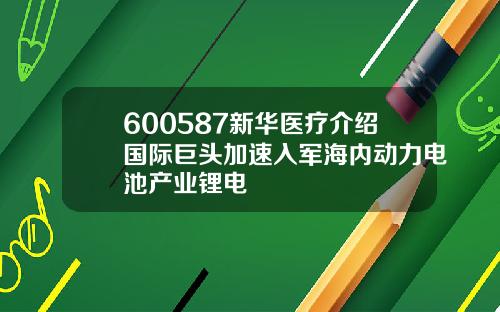 600587新华医疗介绍国际巨头加速入军海内动力电池产业锂电