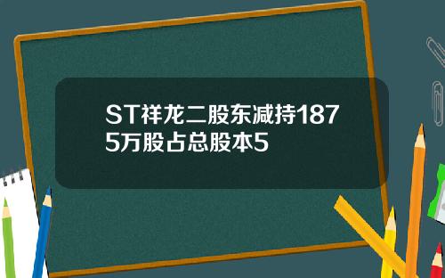 ST祥龙二股东减持1875万股占总股本5