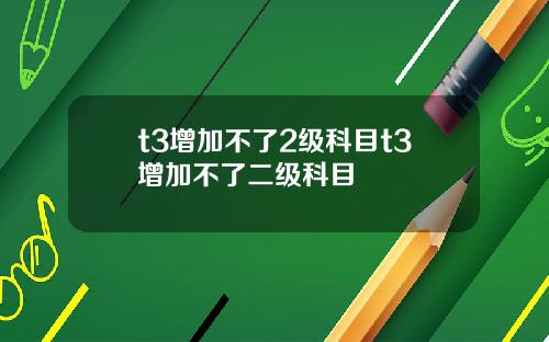 t3增加不了2级科目t3增加不了二级科目