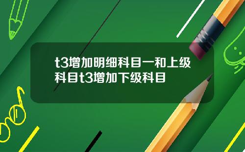 t3增加明细科目一和上级科目t3增加下级科目