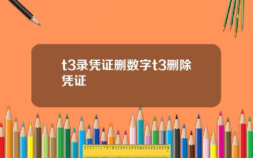 t3录凭证删数字t3删除凭证