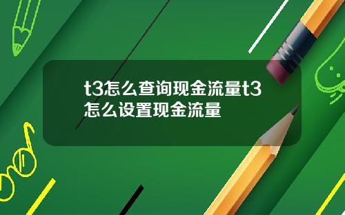 t3怎么查询现金流量t3怎么设置现金流量