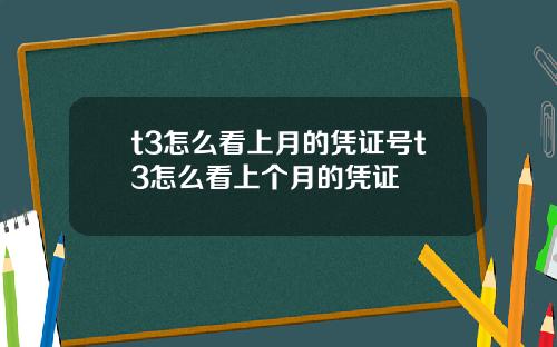 t3怎么看上月的凭证号t3怎么看上个月的凭证