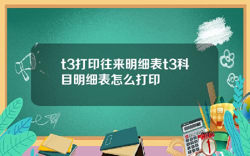 t3打印往来明细表t3科目明细表怎么打印