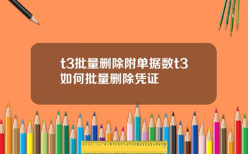 t3批量删除附单据数t3如何批量删除凭证