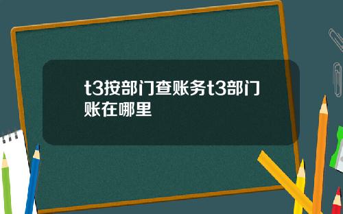 t3按部门查账务t3部门账在哪里