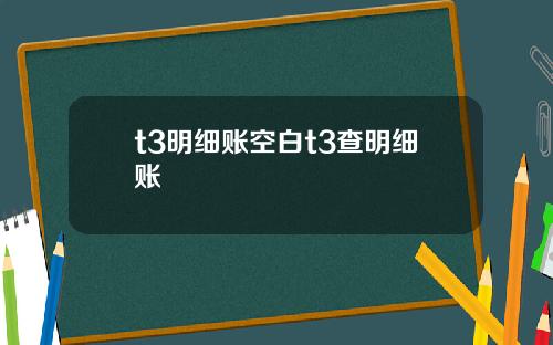 t3明细账空白t3查明细账