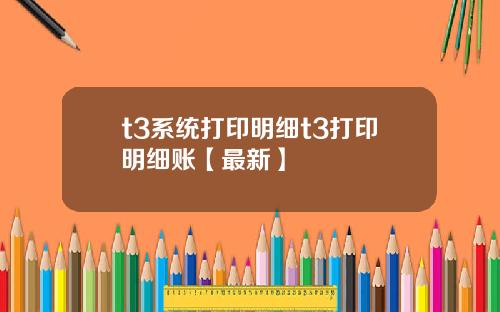 t3系统打印明细t3打印明细账【最新】