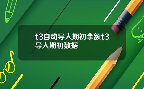 t3自动导入期初余额t3导入期初数据