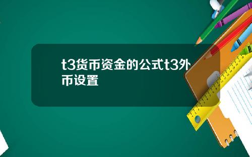 t3货币资金的公式t3外币设置