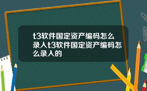 t3软件国定资产编码怎么录入t3软件国定资产编码怎么录入的