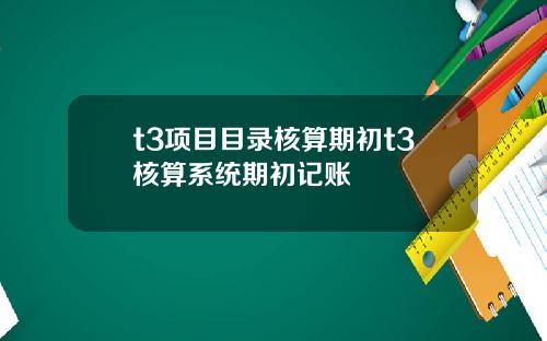 t3项目目录核算期初t3核算系统期初记账