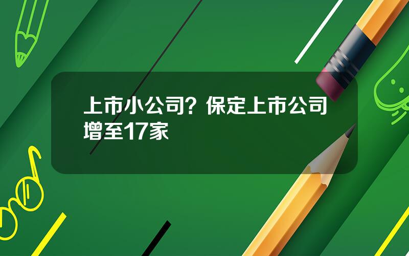 上市小公司？保定上市公司增至17家