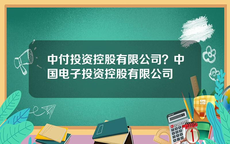 中付投资控股有限公司？中国电子投资控股有限公司