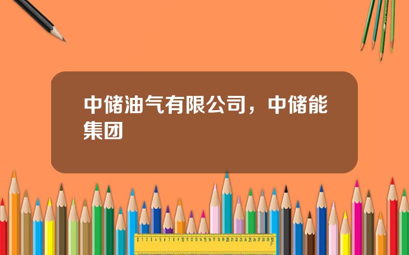 中储油气有限公司，中储能集团