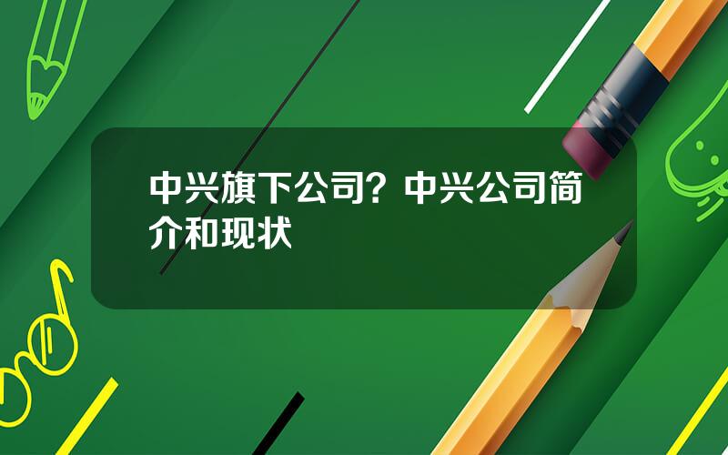 中兴旗下公司？中兴公司简介和现状