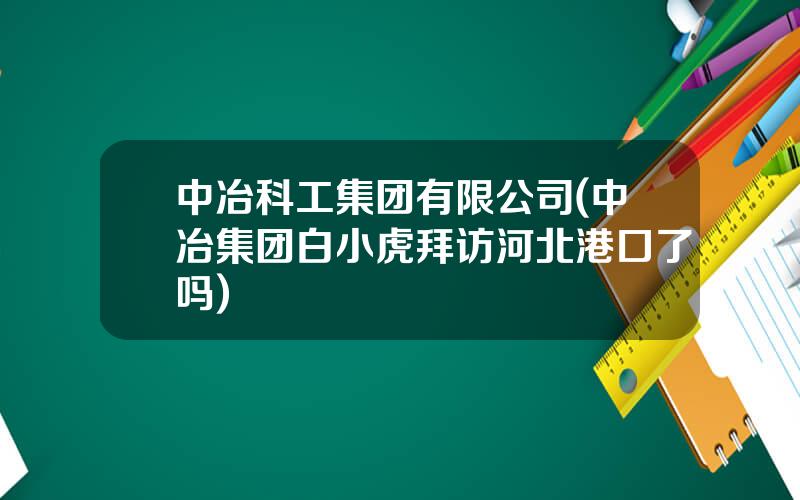 中冶科工集团有限公司(中冶集团白小虎拜访河北港口了吗)