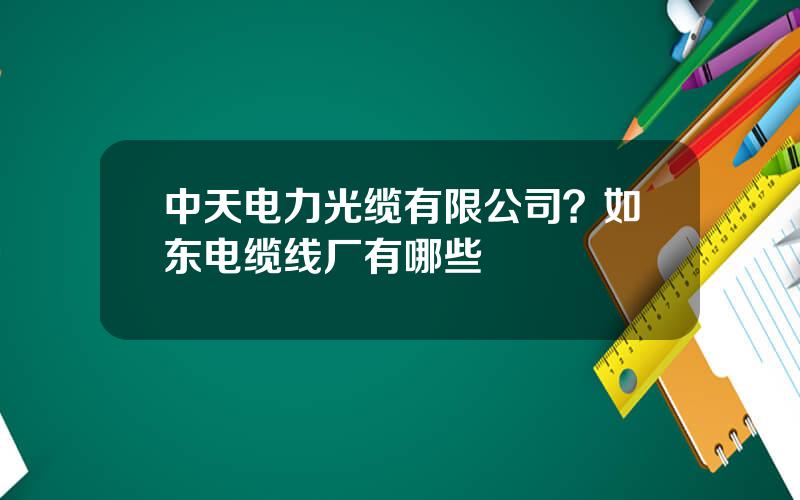 中天电力光缆有限公司？如东电缆线厂有哪些