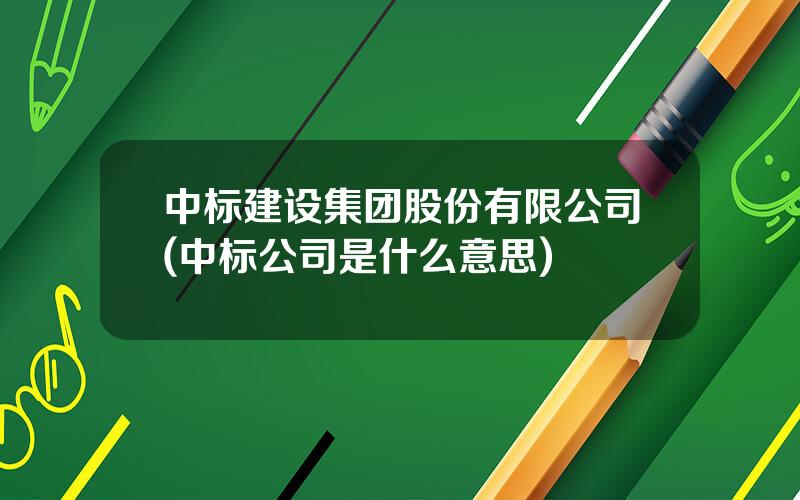 中标建设集团股份有限公司(中标公司是什么意思)