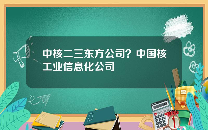 中核二三东方公司？中国核工业信息化公司