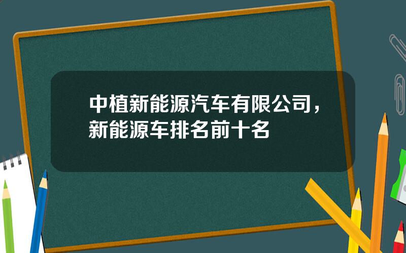 中植新能源汽车有限公司，新能源车排名前十名