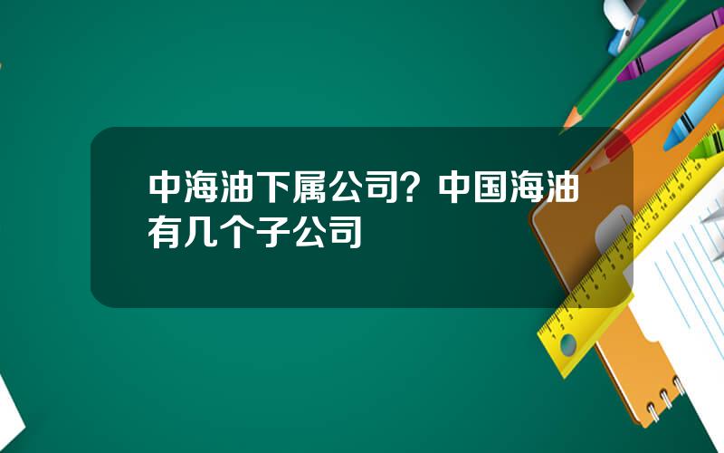 中海油下属公司？中国海油有几个子公司