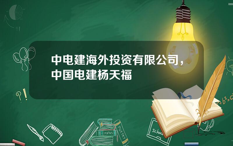 中电建海外投资有限公司，中国电建杨天福