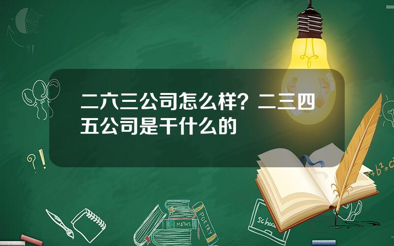 二六三公司怎么样？二三四五公司是干什么的