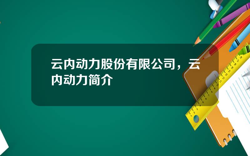 云内动力股份有限公司，云内动力简介