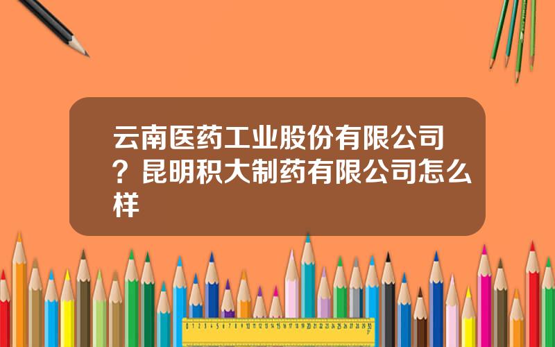 云南医药工业股份有限公司？昆明积大制药有限公司怎么样