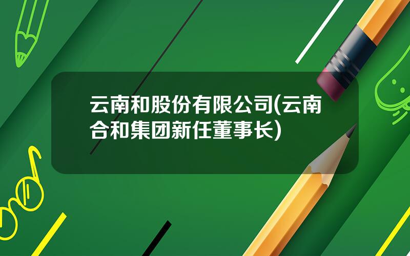 云南和股份有限公司(云南合和集团新任董事长)