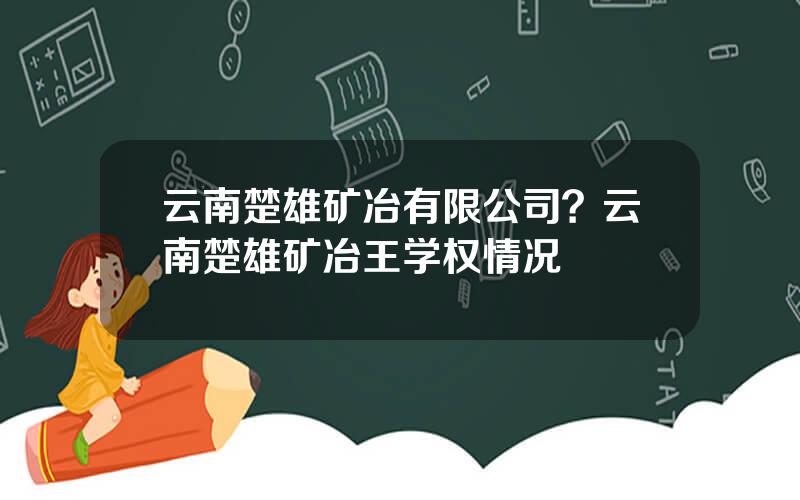 云南楚雄矿冶有限公司？云南楚雄矿冶王学权情况