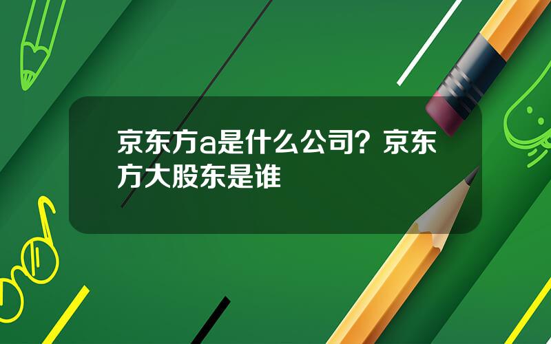 京东方a是什么公司？京东方大股东是谁