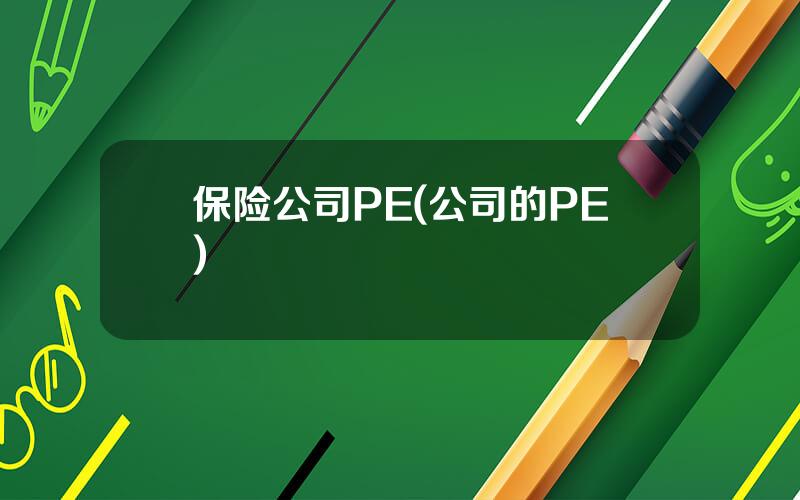 保险公司PE(公司的PE)