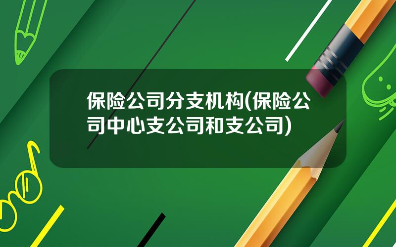 保险公司分支机构(保险公司中心支公司和支公司)