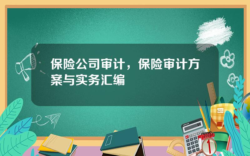 保险公司审计，保险审计方案与实务汇编