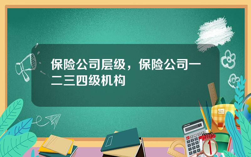 保险公司层级，保险公司一二三四级机构