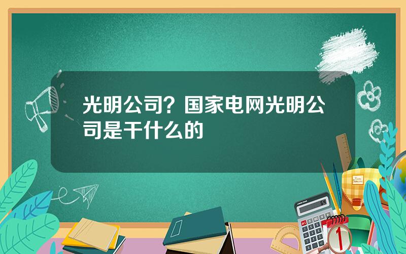 光明公司？国家电网光明公司是干什么的