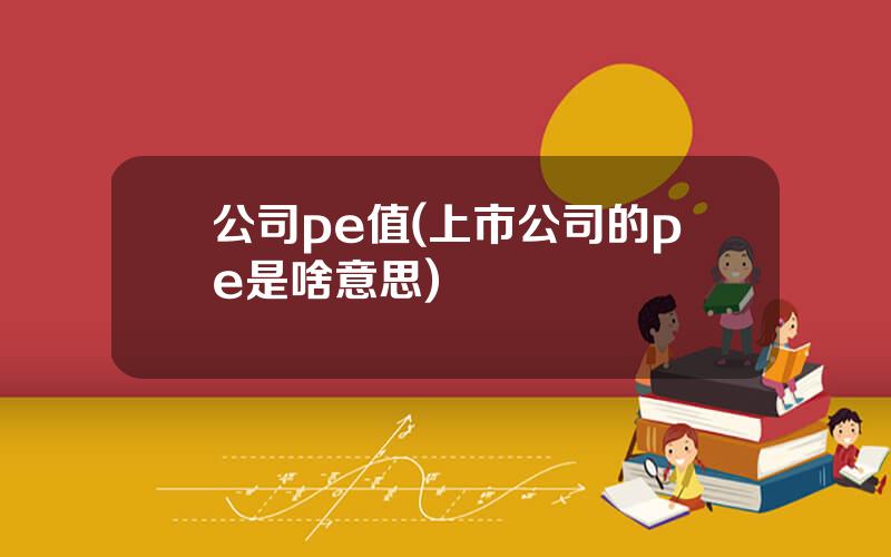 公司pe值(上市公司的pe是啥意思)