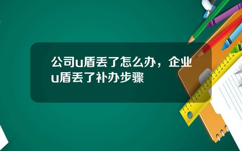 公司u盾丢了怎么办，企业u盾丢了补办步骤