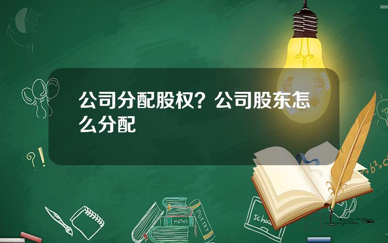 公司分配股权？公司股东怎么分配