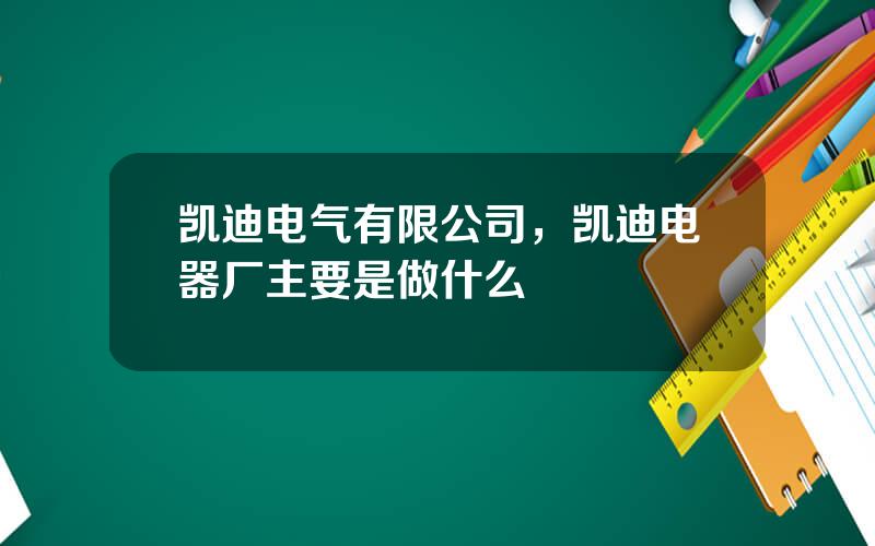 凯迪电气有限公司，凯迪电器厂主要是做什么