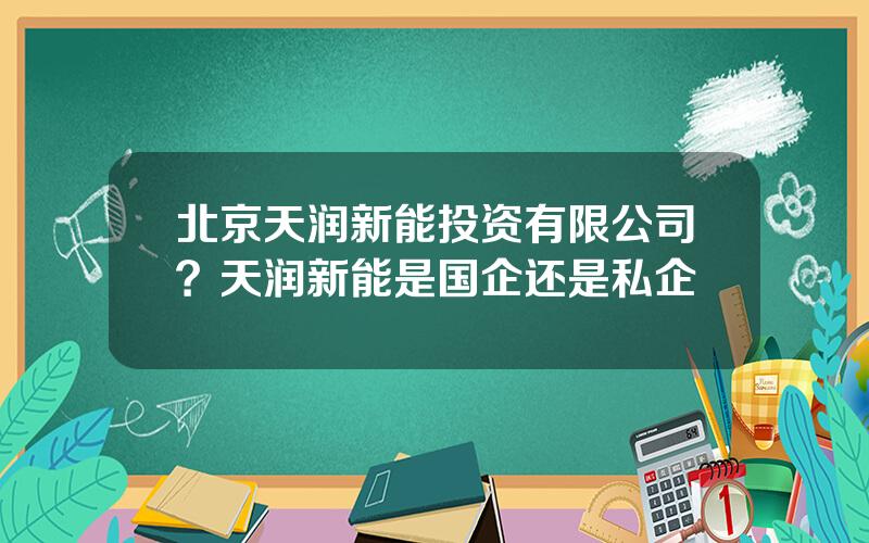 北京天润新能投资有限公司？天润新能是国企还是私企