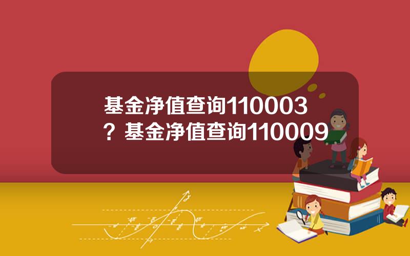 基金净值查询110003？基金净值查询110009