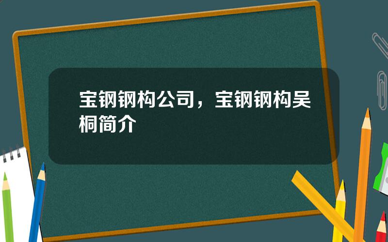 宝钢钢构公司，宝钢钢构吴桐简介