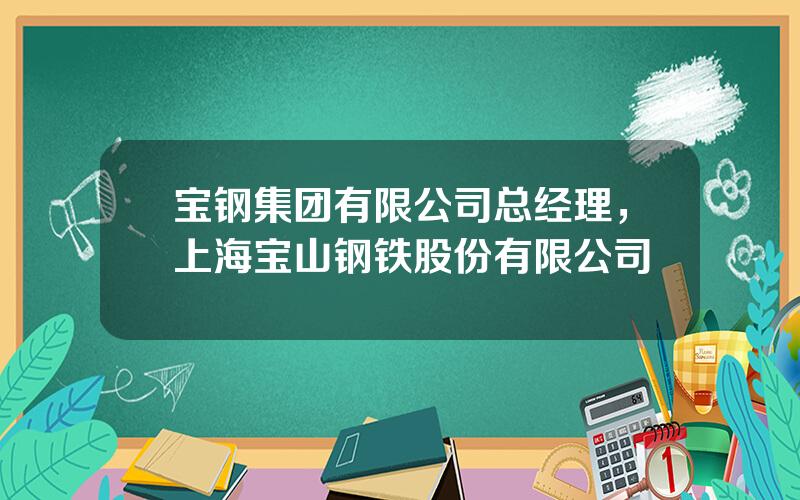 宝钢集团有限公司总经理，上海宝山钢铁股份有限公司