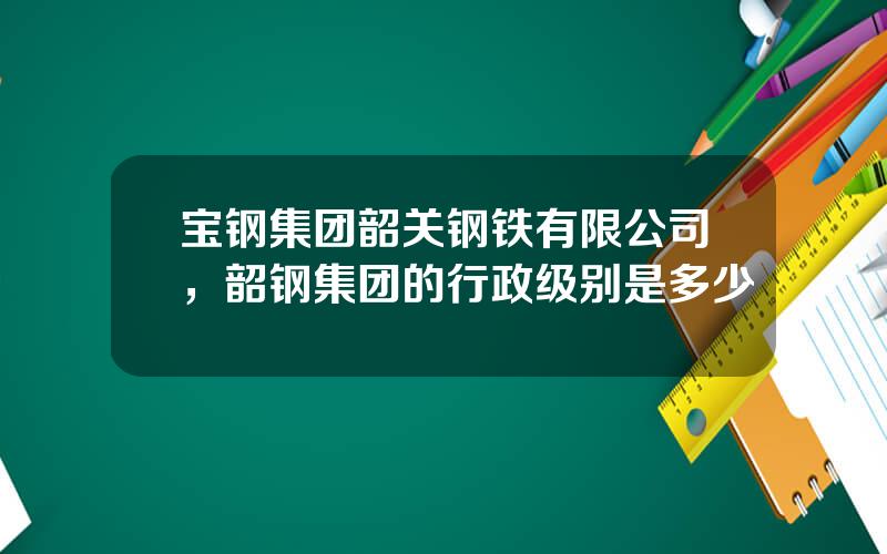 宝钢集团韶关钢铁有限公司，韶钢集团的行政级别是多少