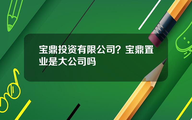 宝鼎投资有限公司？宝鼎置业是大公司吗